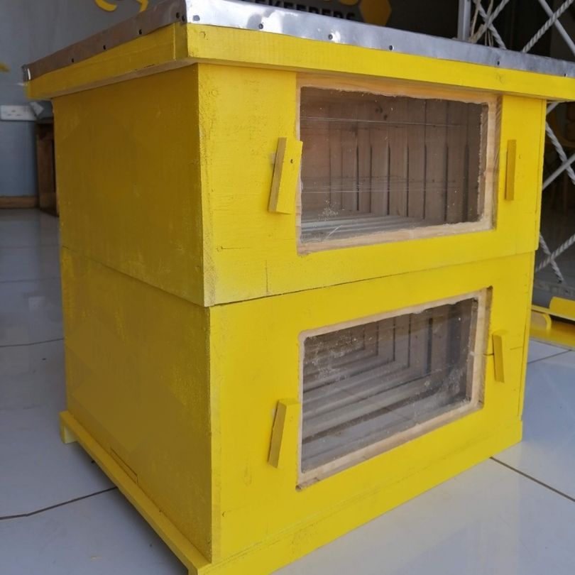 Observational Langstroth Beehive